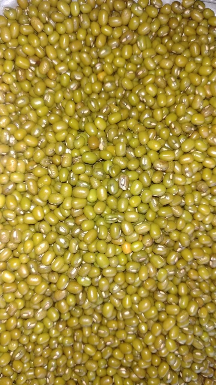 Amrit Gold Premium Green Moong Whole, 30kg
