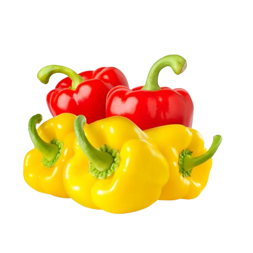 Capsicum - Red & Yellow, 2pc