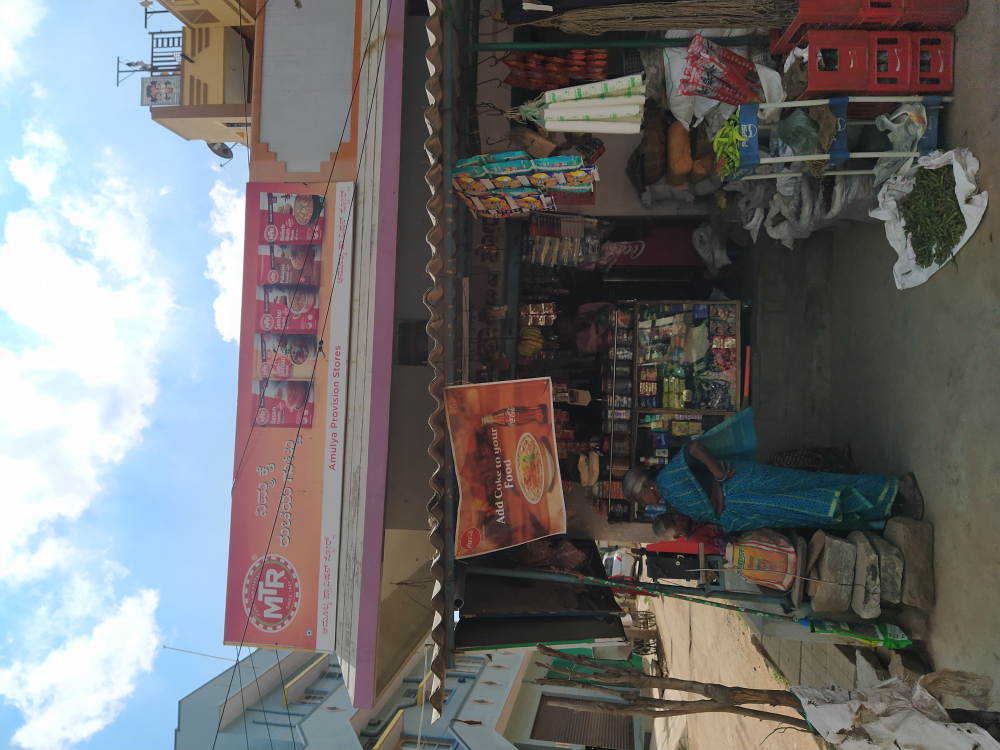 Amulya provision store