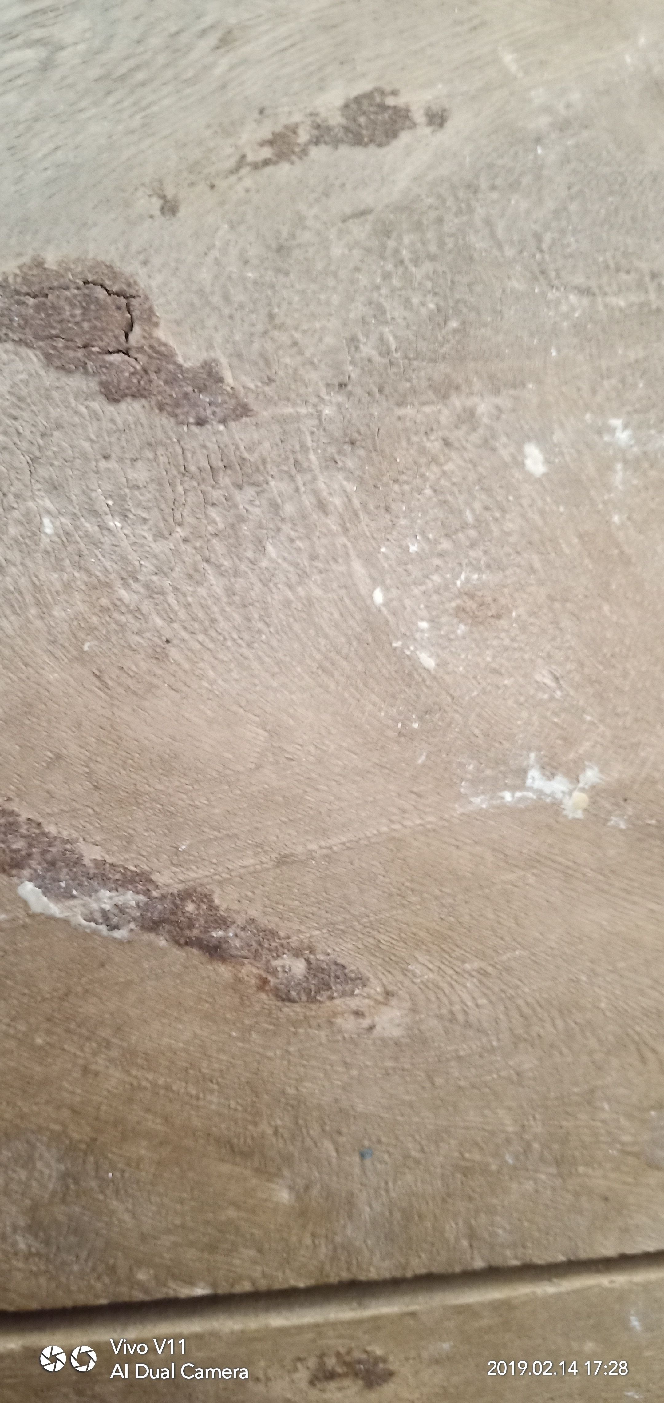 Sri Lakshmi Medicals And General Stores