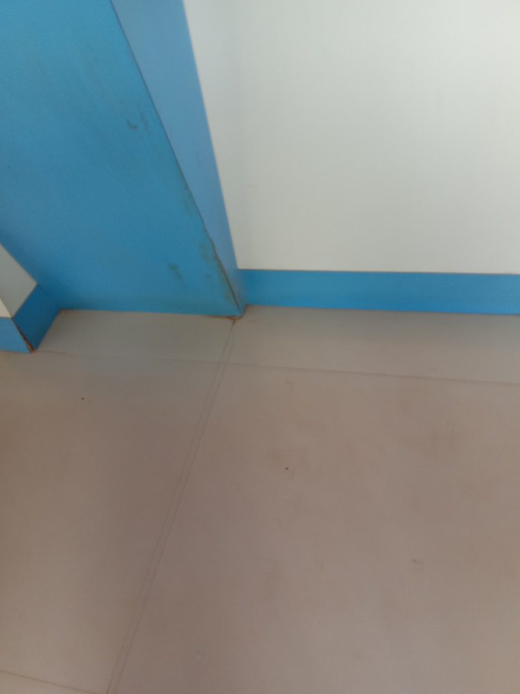 Maharaam Exports Imports New