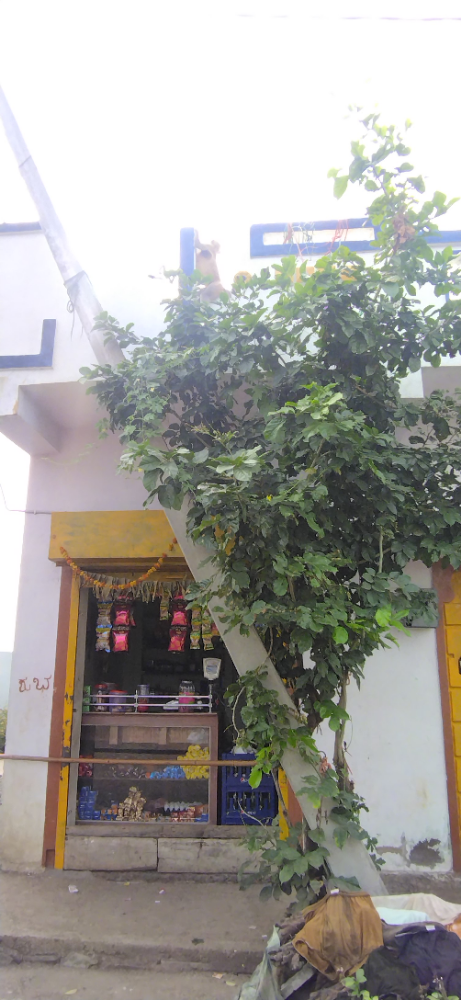 Threeratna kirana and general store