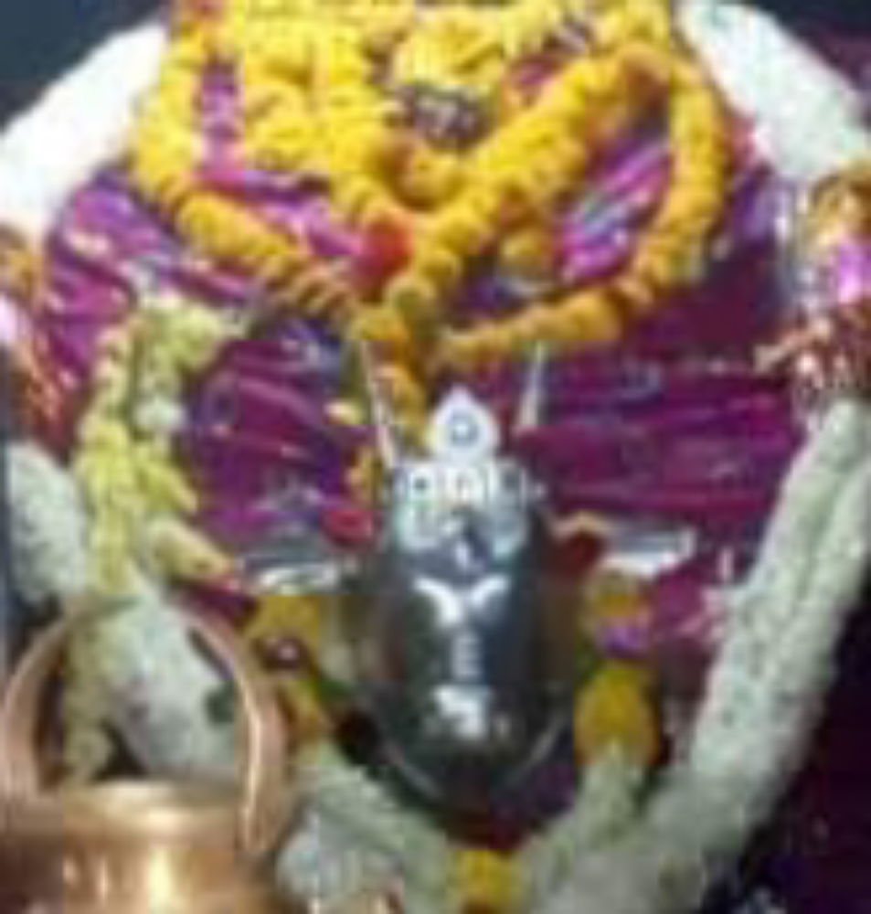 Shree Harthi Basaveshwar Kirani and General Stores