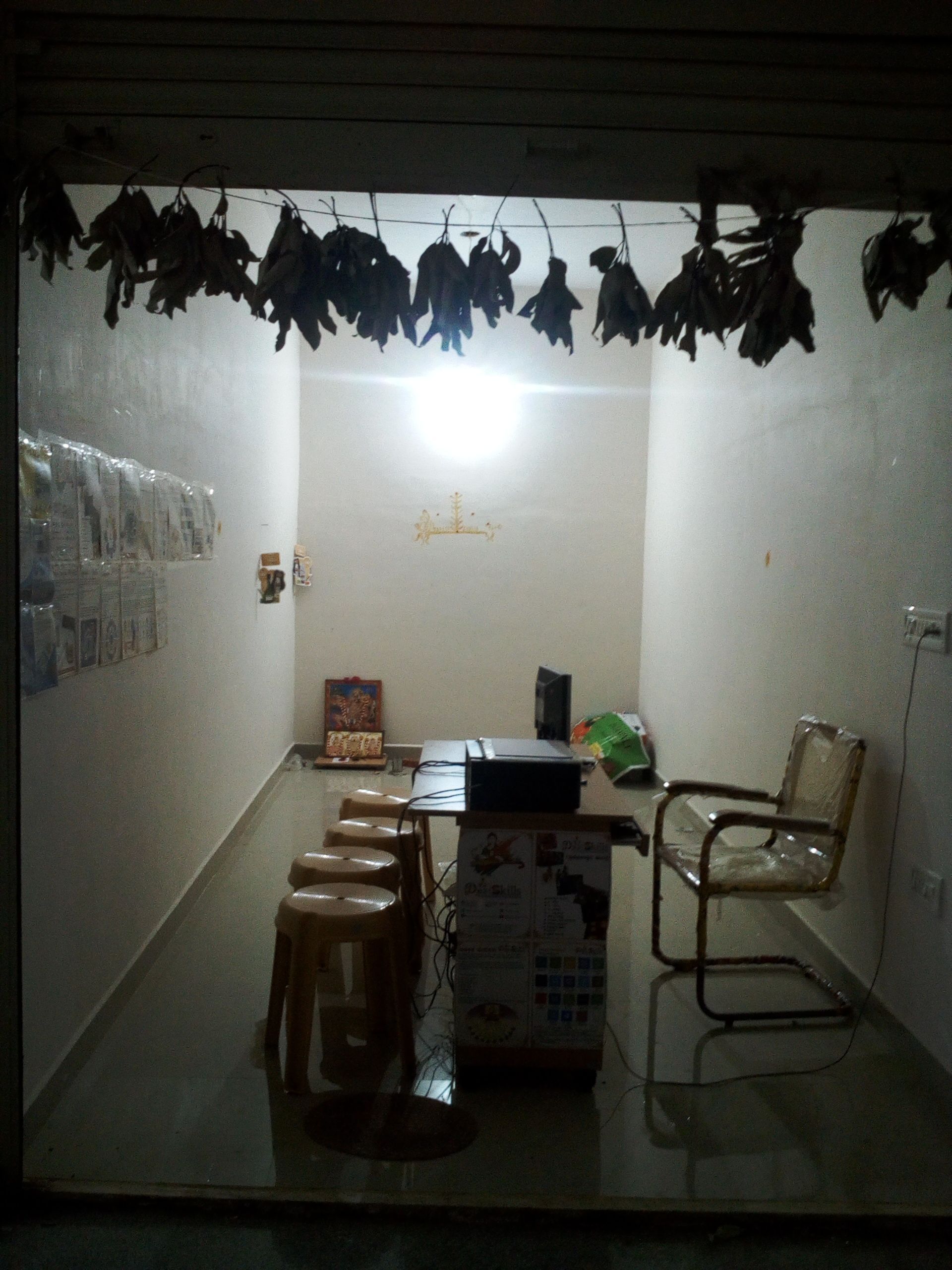 Desi Skills(DSGKGP1476)