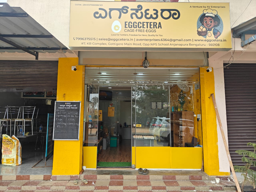 EGGCETERA  CAGE FREE EGGS