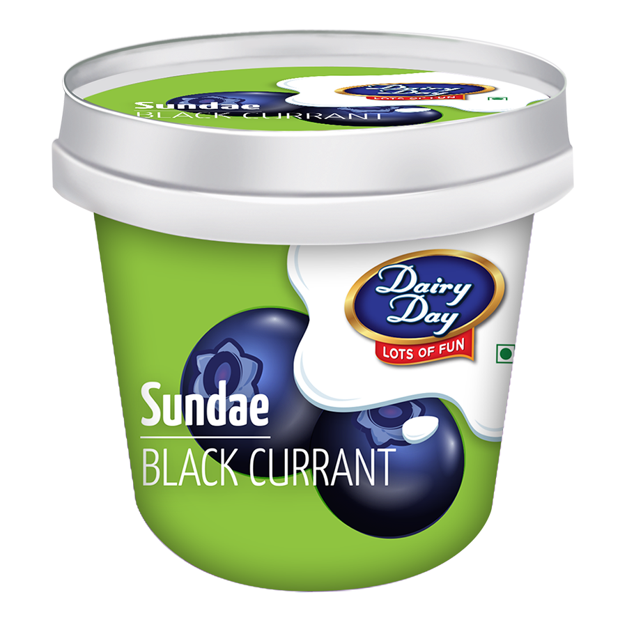 Dairy Day Ice Cream Tub - BlackCurrant Sundae, 500ml
