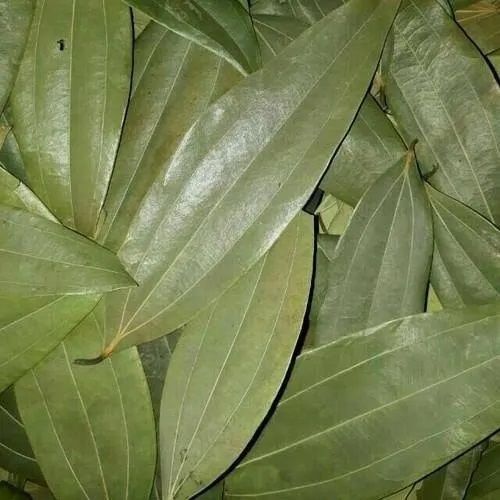 Origo Fresh Bay Leaf / Tej Patta, 500g