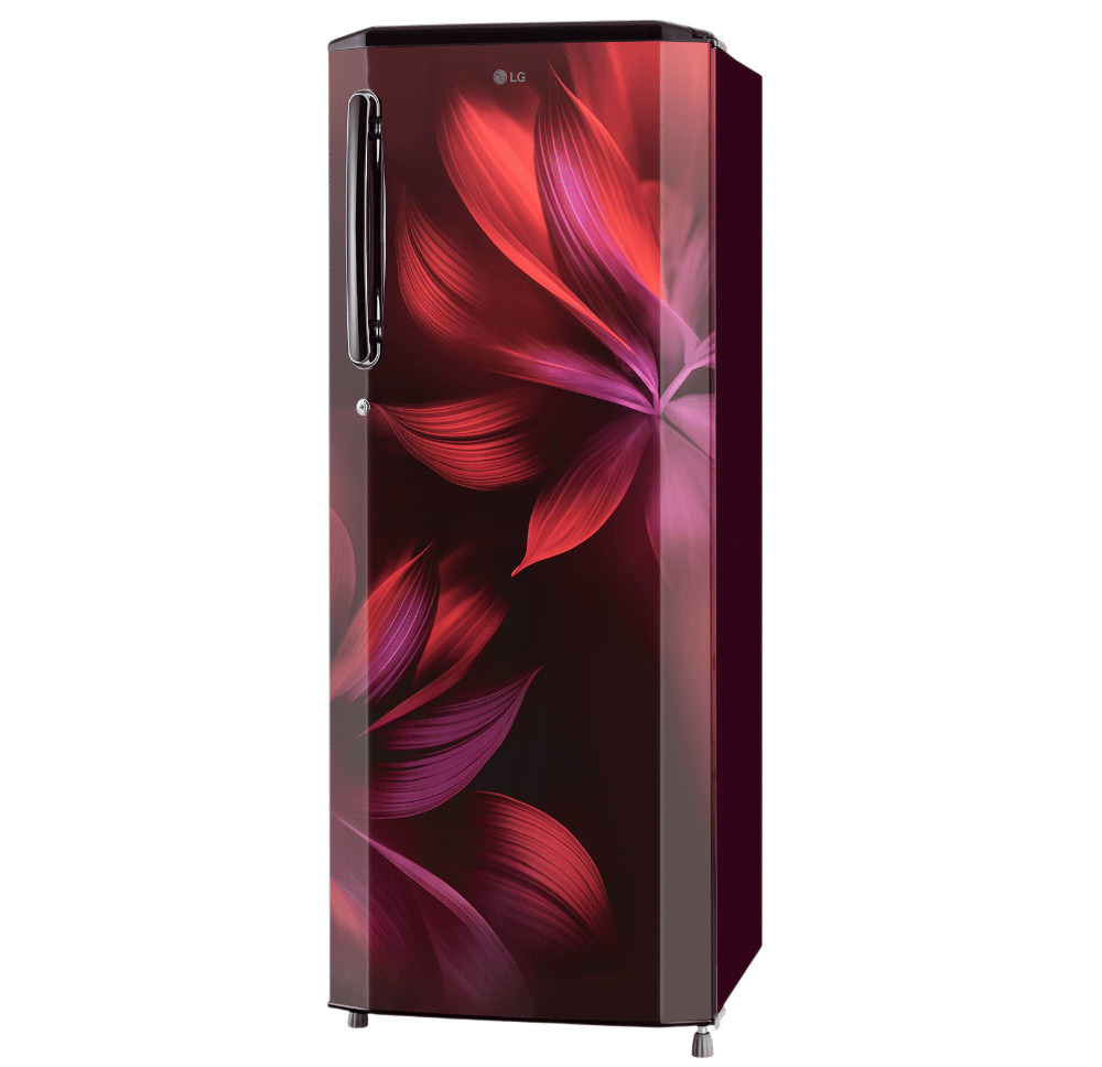 LG | GL-B191OPYR | 3 Star Single Door Refrigerator (185L, Scarlet Plumeria)
