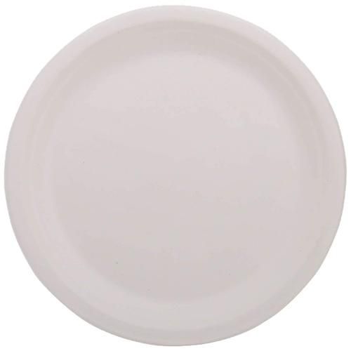 Disposable Ecoware Plates (10 Inch)