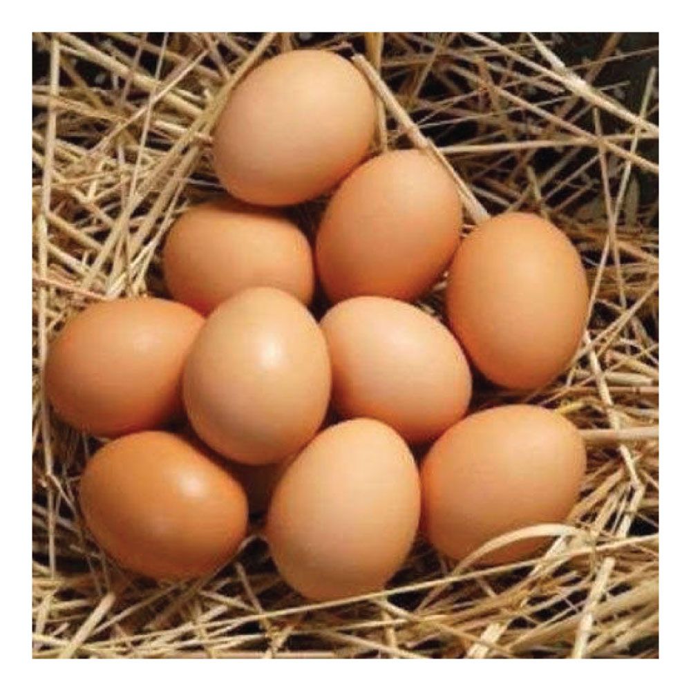 Country Eggs - Chicken, 30pc (Antibiotic Residue Free)