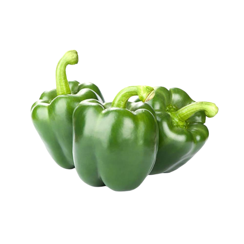 Capsicum Green - Regular