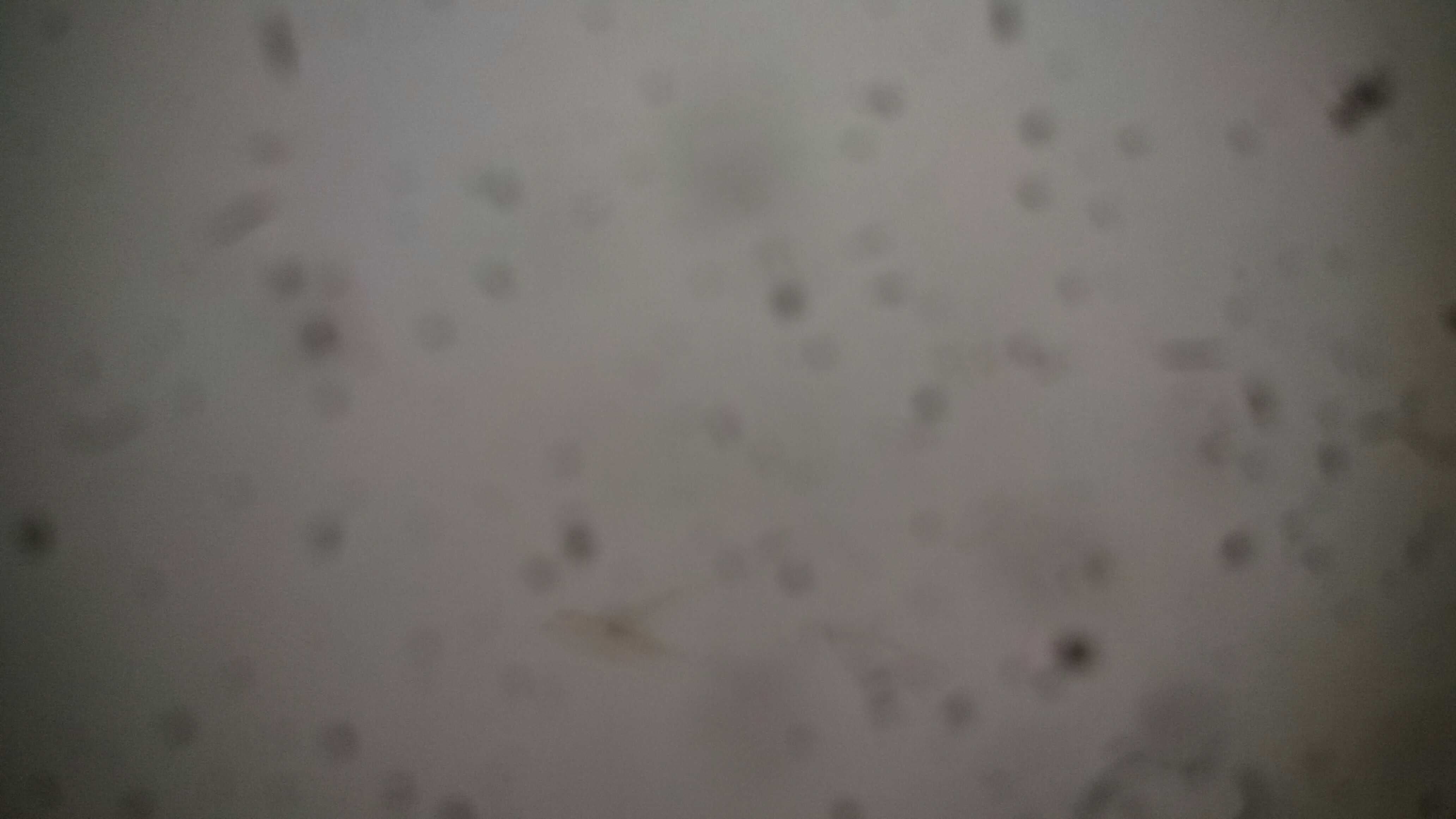 Baba online and mobile shop