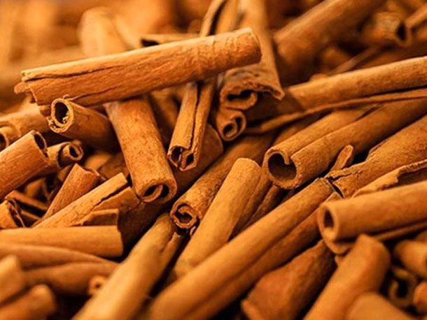 BSF Cassia, 25g