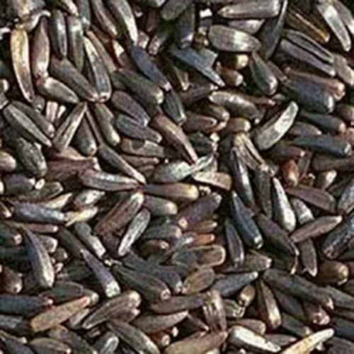 Niger Seed, 250g