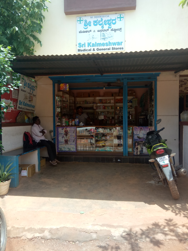 Shri Kalmeswar Medical and General Store