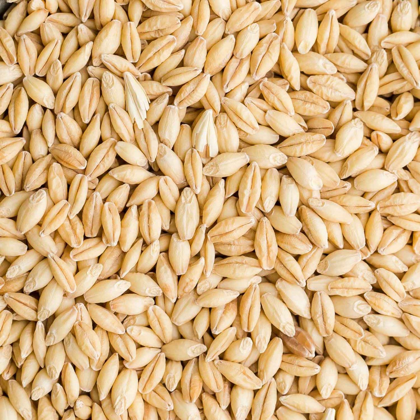Barley, 1kg
