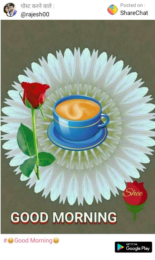 Sandeep electronic vita