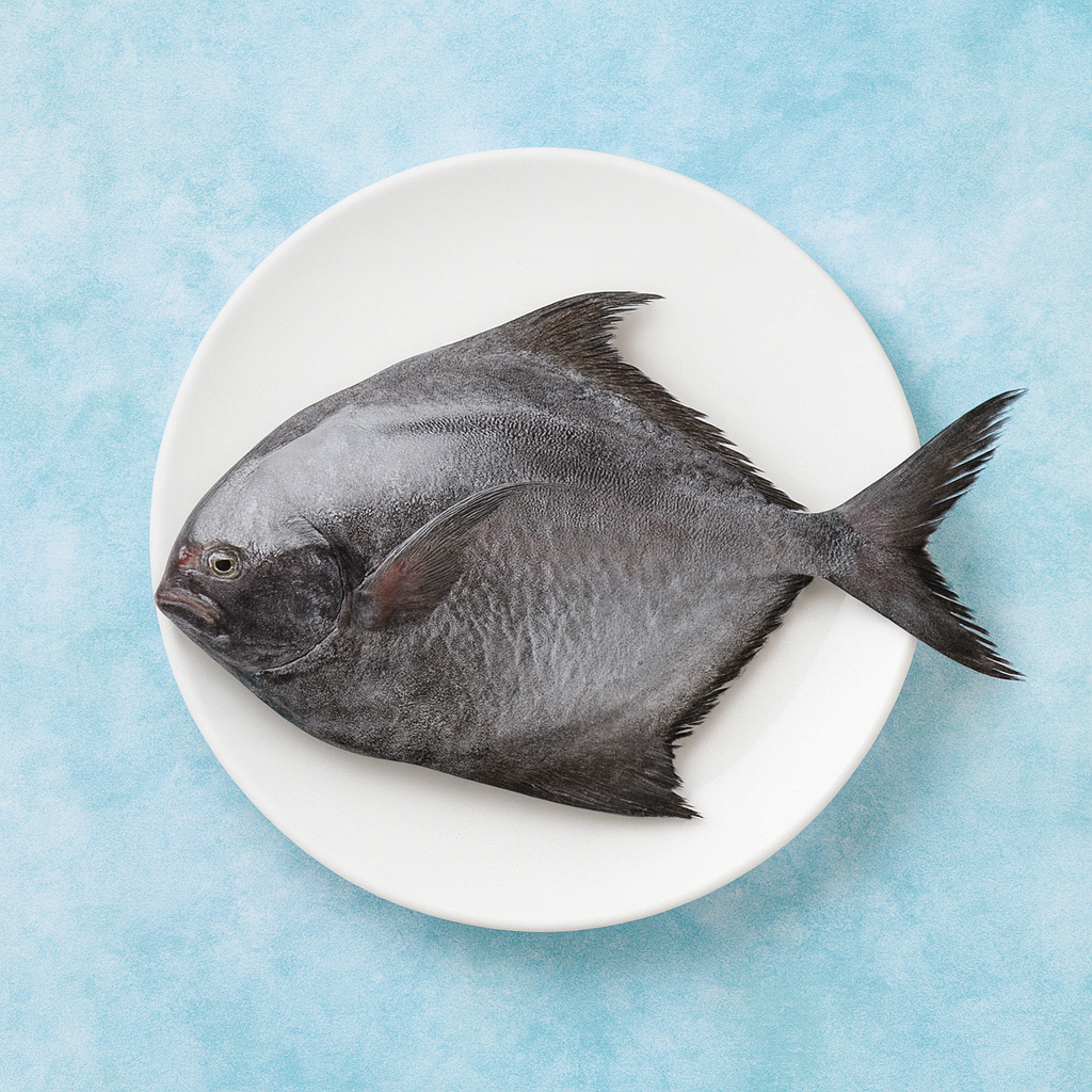Pomfret - Black