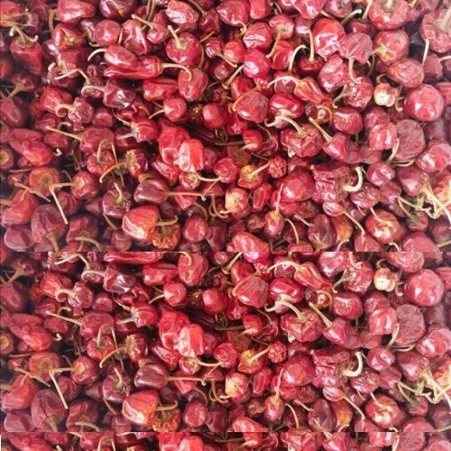 Chotu / Gundu Chilli Bag - Stem, 10kg