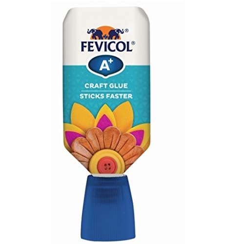 Fevicol A+ Craft White Glue, 30g