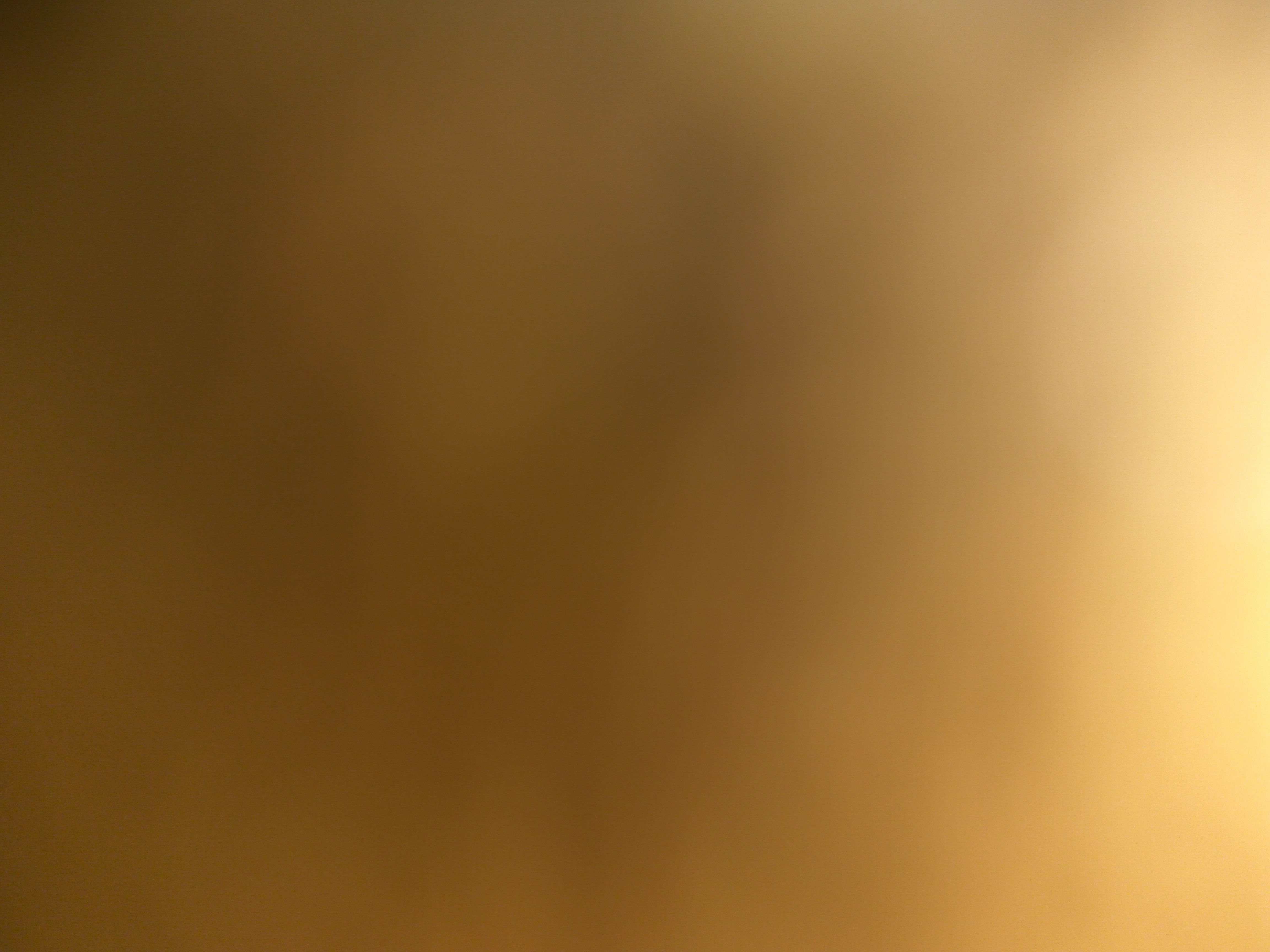 Sri Daivk Agro Traders