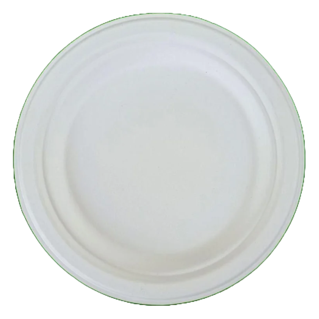 Home Mate Eco Friendly Disposable Plate - Round, 10pc (10 Inch)