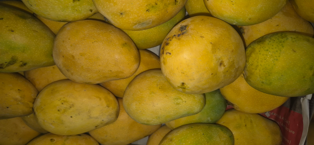 Mango Bega