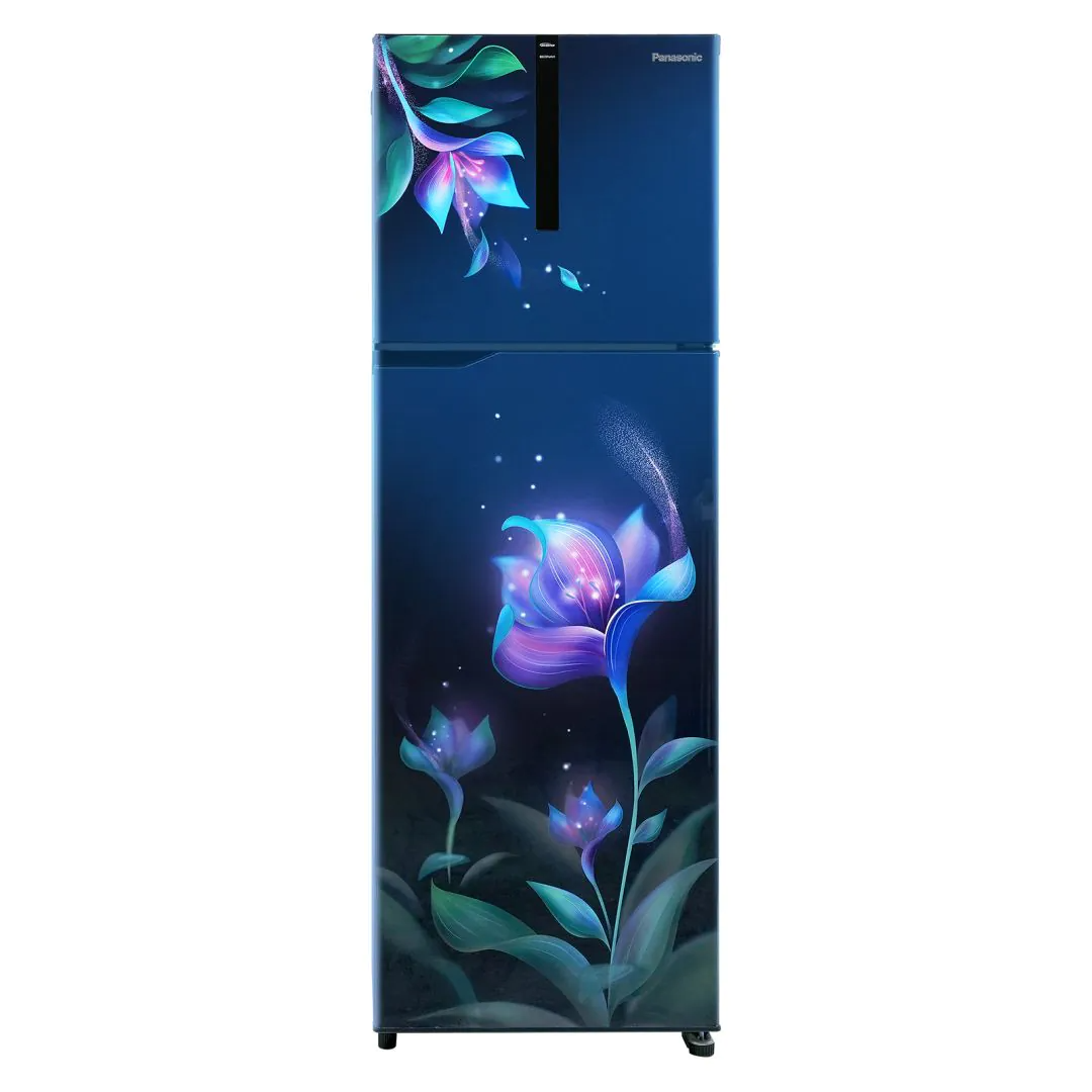 Panasonic Frost Free 2 Star Double Door Refrigerator (237L, Harnell Blue)