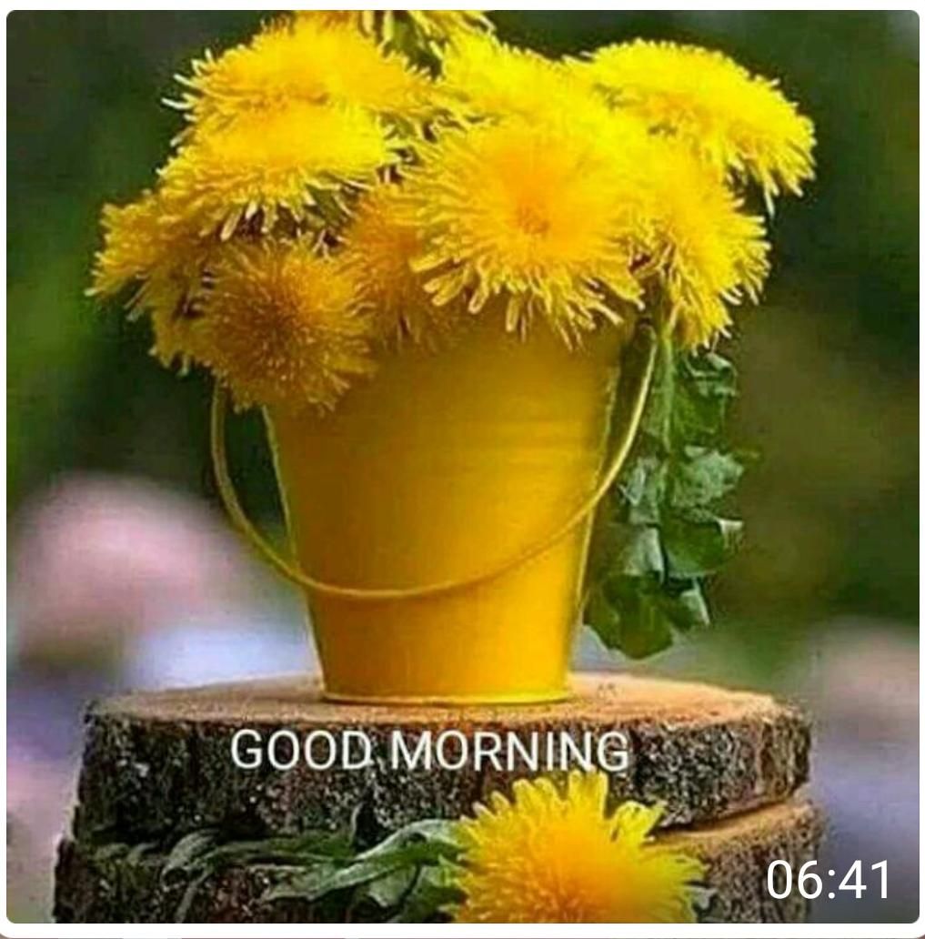 Desi Skills (DSGKGP3047)